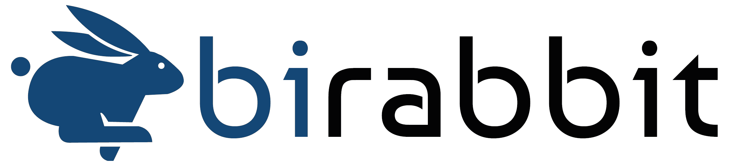 BIRabbit Partner Logo