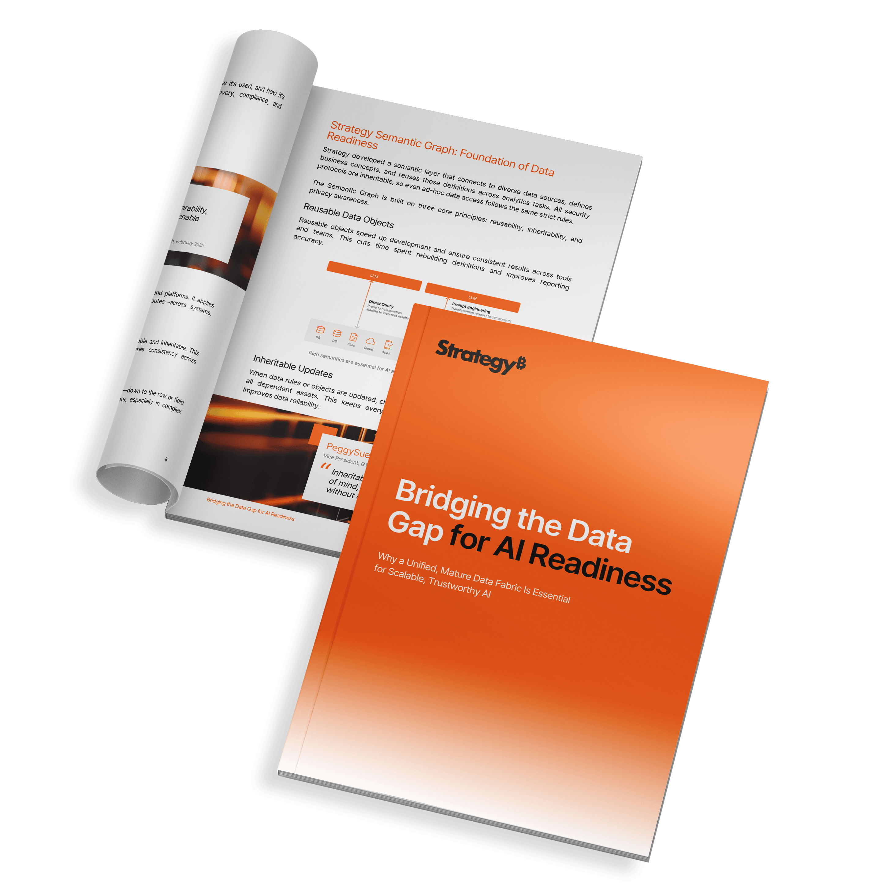 Bridging Data Gap Cover.png