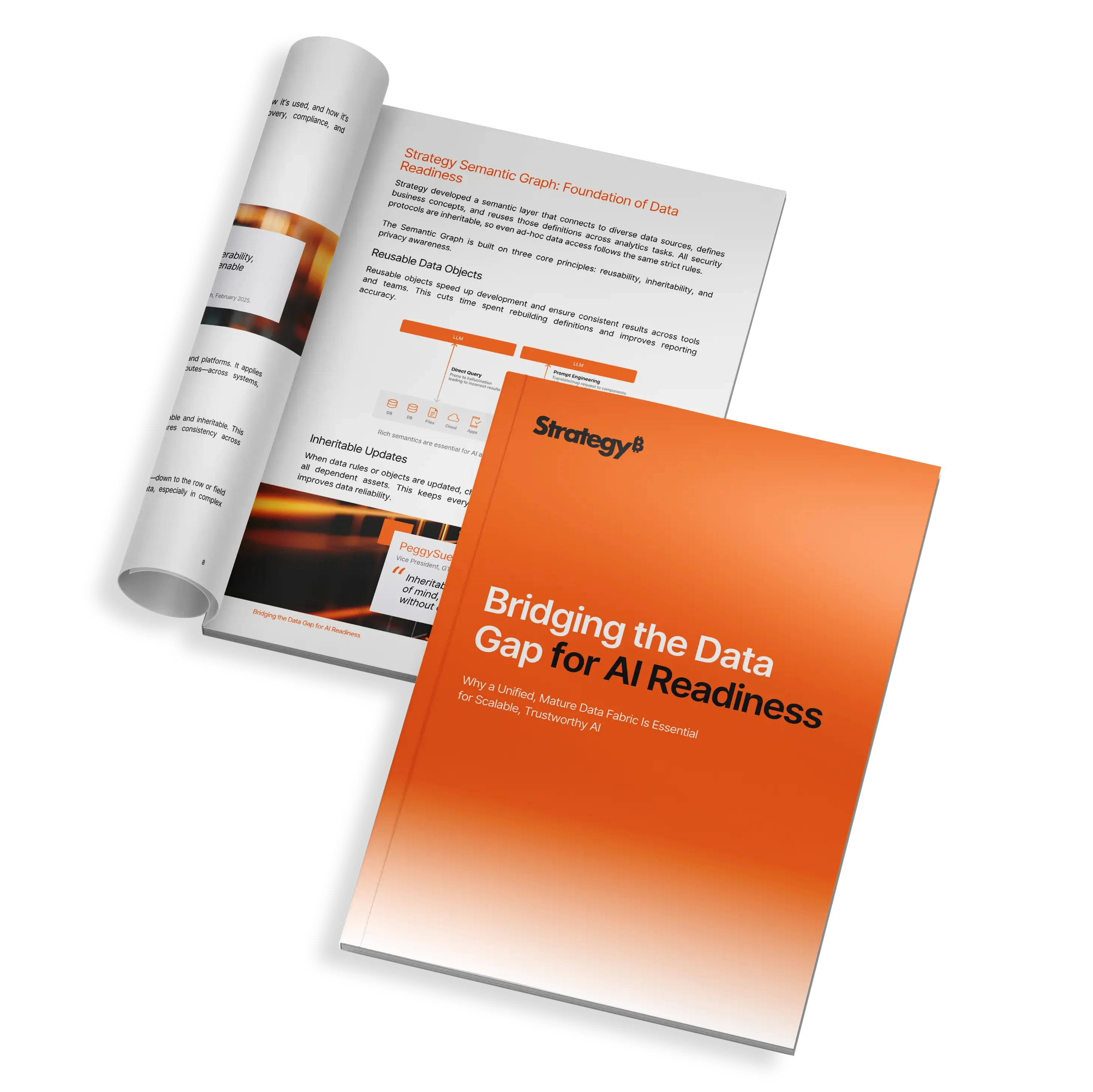 Bridging Data Gap Cover.png